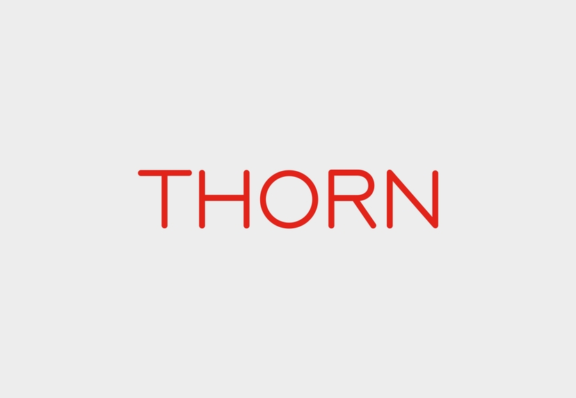Thorn Lighting