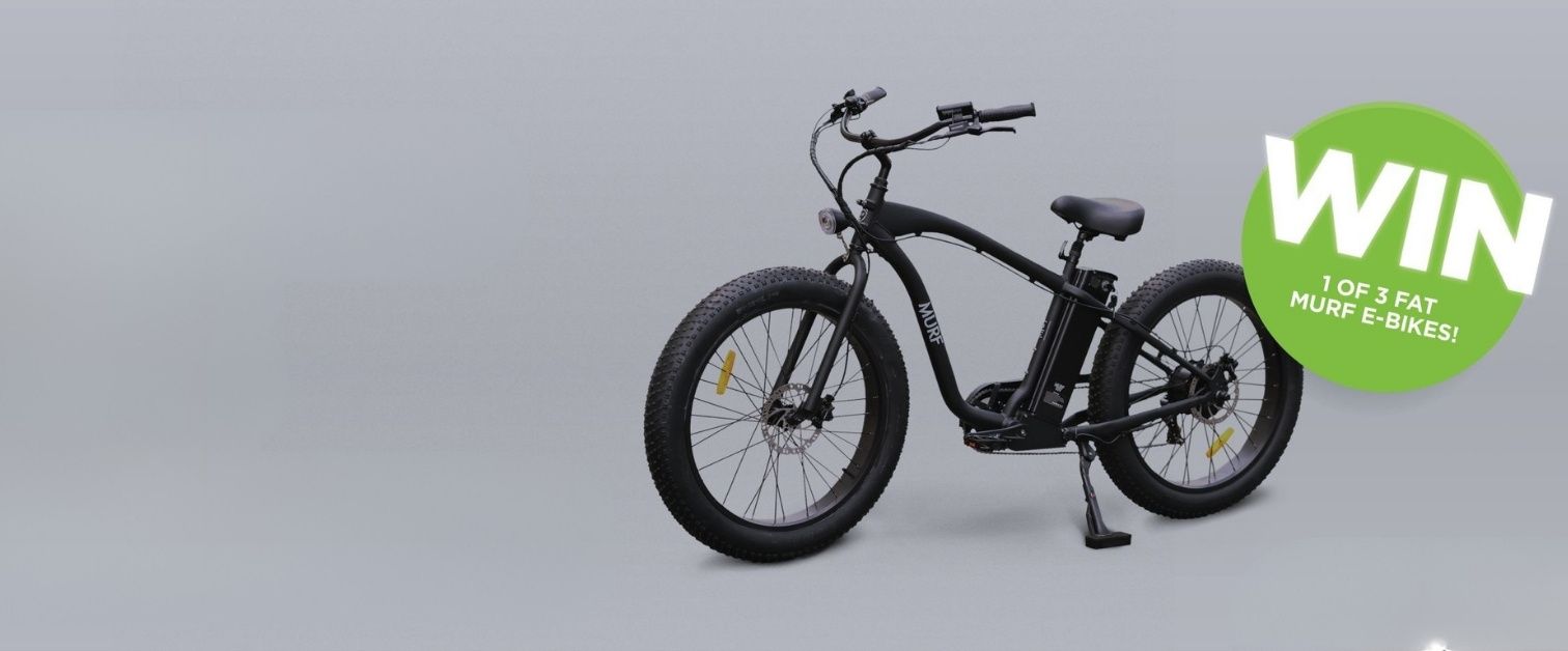 Cruise into summer promotional slide