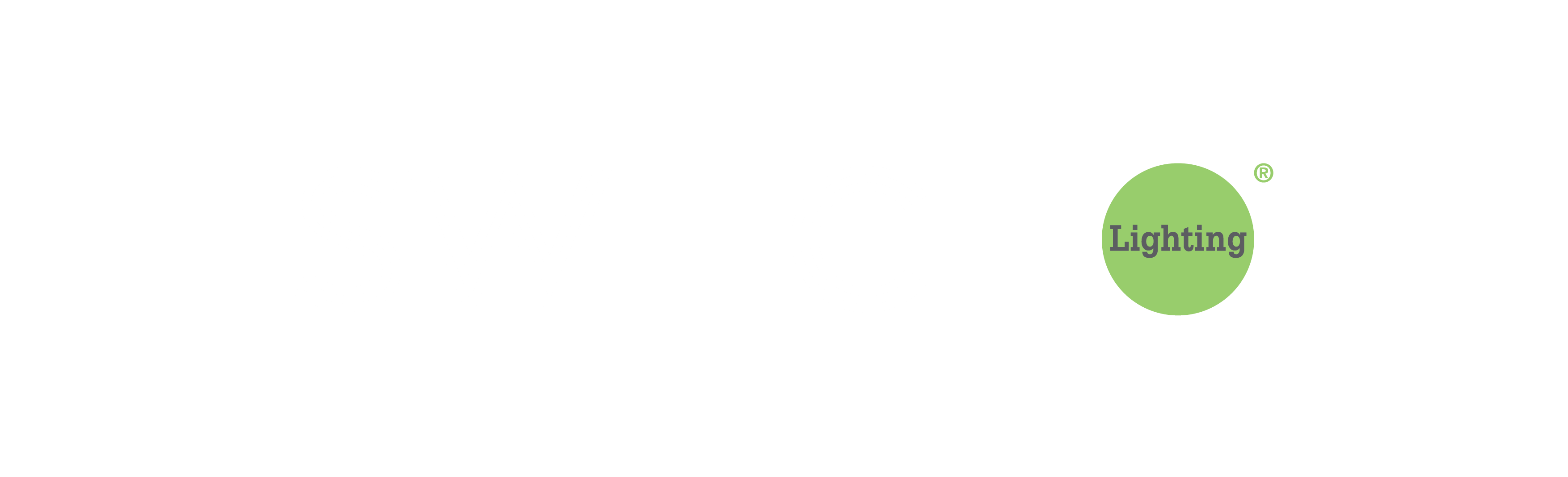 Switch Lighting logo